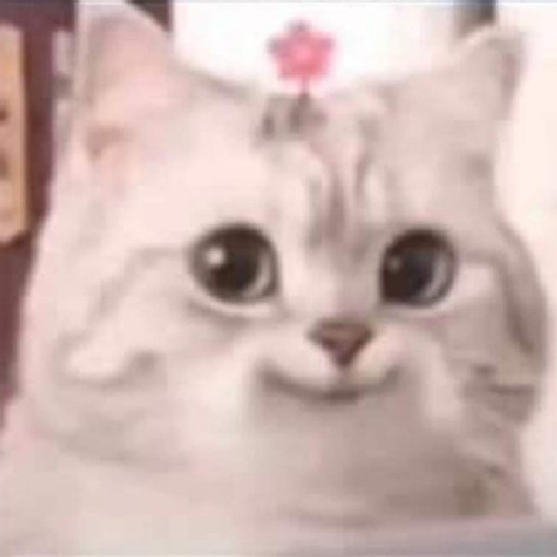 hoàng thị ngọc ánh