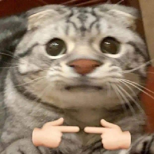 Nguyễn Ngọc Khánh An