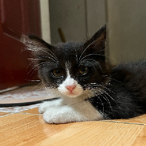 Nguyễn Thuần Hưng