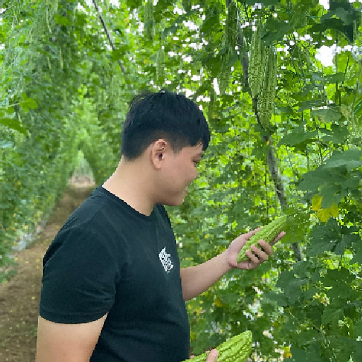 Nguyễn Tấn Bảo