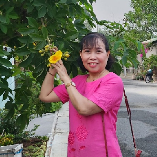 Kim Ánh