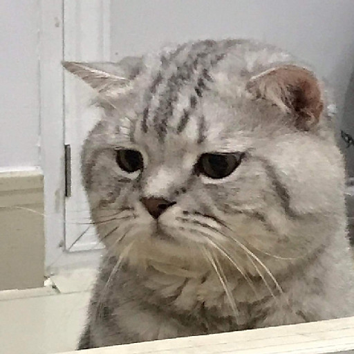 Phạm Hoàng Yến Phi