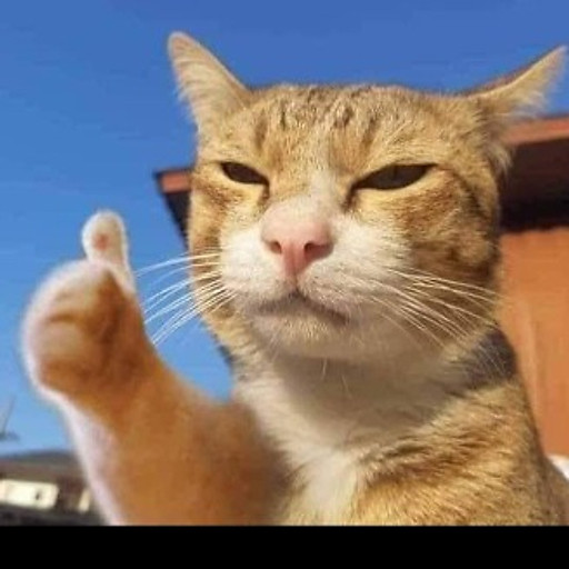 Trương Thị Châu Pha