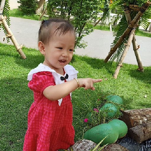 Quang Khải
