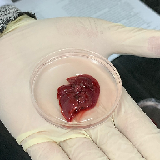 Nguyễn Mạnh Khang