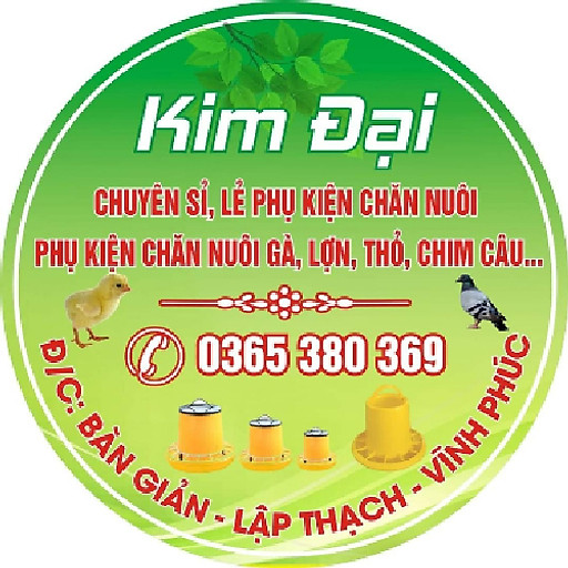 Trần Kim Đại