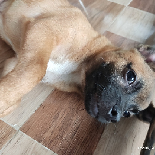 Đặng Ngọc Cẩn