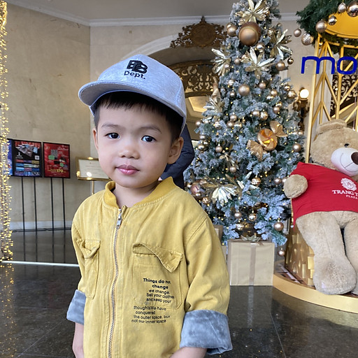 Nguyễn thị hằng 