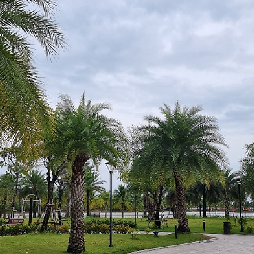 Đoàn Ngọc Kiểng