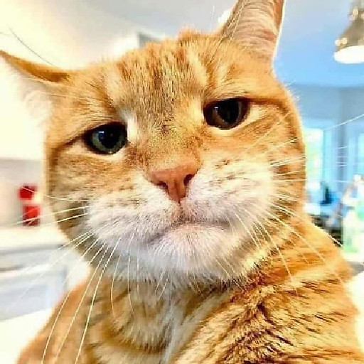 Nguyên Hồ Trọng