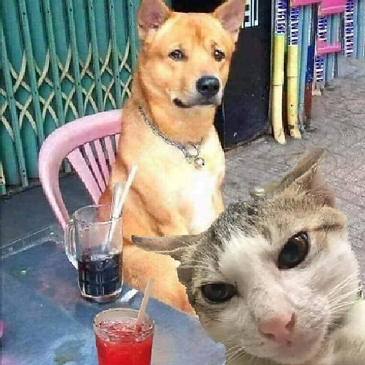 Nguyễn Thị Bích Nhung