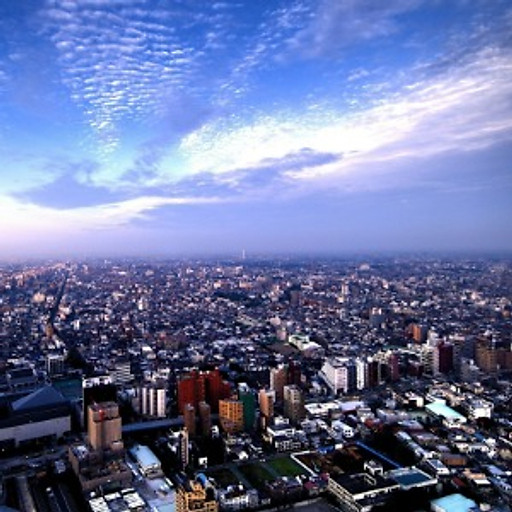 Võ Ngọc Đăng