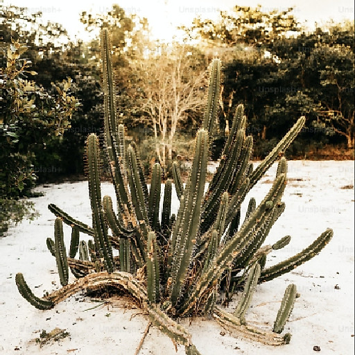 Vũ Huỳnh Quốc Hưng