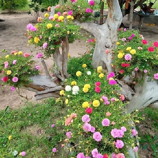 Nguyễn Đức thảo 