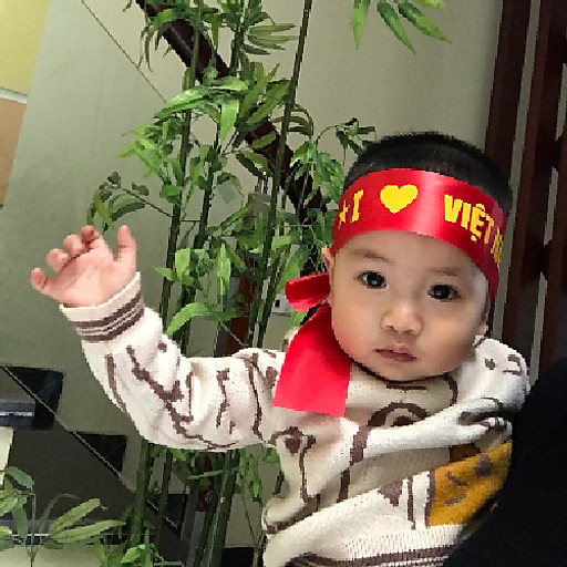 Nguyễn Trung Dũng