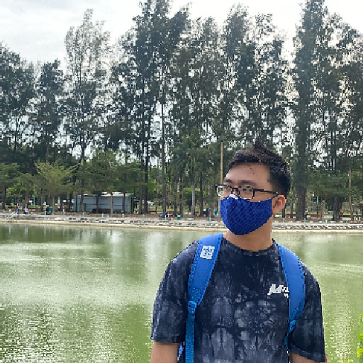 Bảo Bảo Nguyễn