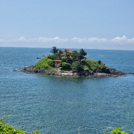 Trần Trọng Hiếu