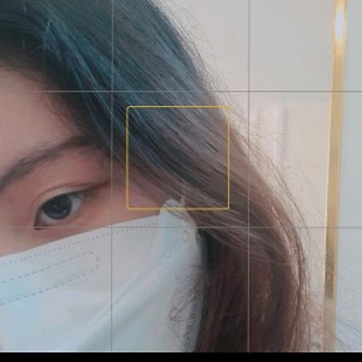 Trịnh Thị Hoài Linh