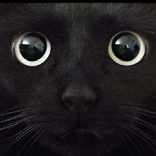 Nguyễn Ngọc Thương