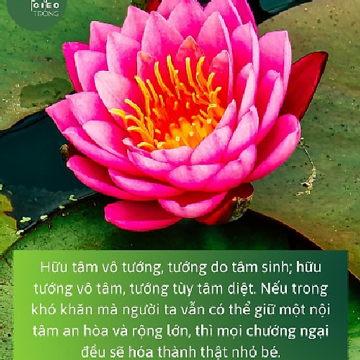 Nguyễn Văn Trường