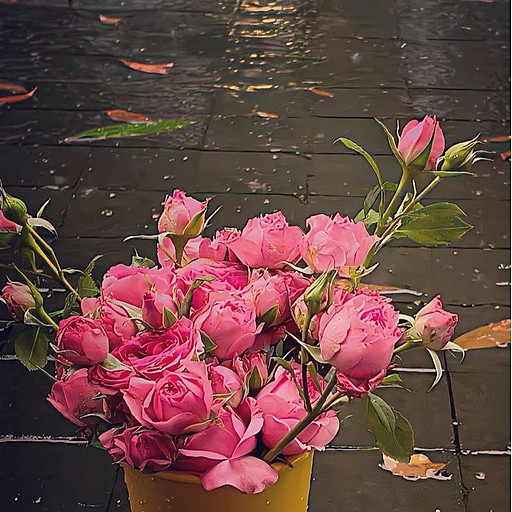 Trần Đức Hiển