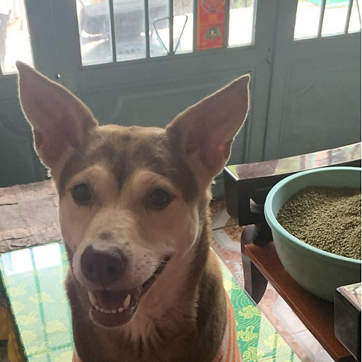 Nguyễn Ngọc Quý