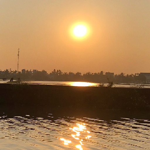 Phương Đông Vũ