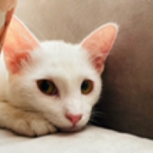 nguyễn Thị Ngọc Nữ