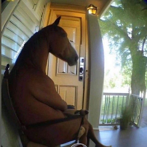 Nguyễn Hoàng Phương Uyên