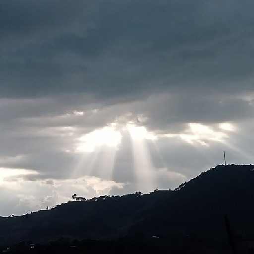 Hoàng Thị Như Ý 