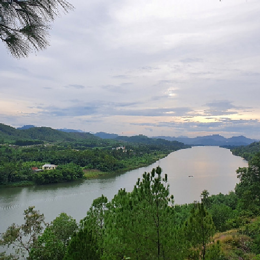 Vương Sơn Thành