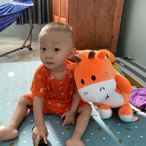 Huỳnh Thị Linh Linh