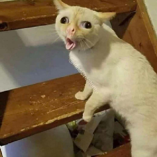 Nguyễn Thành Đạt