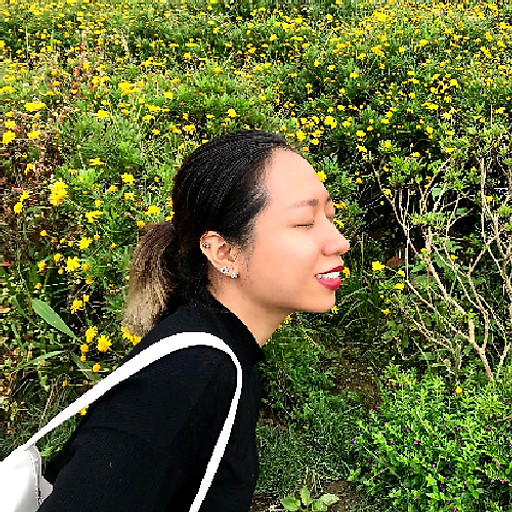 Khánh Linh Nguyễn