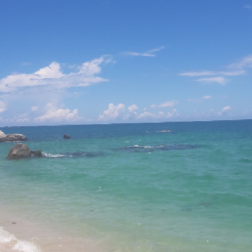 Nguyen Thi Thanh Tam