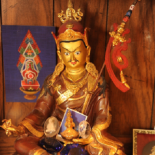 ꧁༺ Cổ Ղhâղ ༻꧂