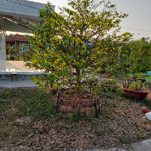 Phương Uyên