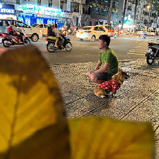 Lê Thị Vân Anh