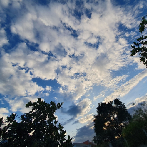 Phan Thụy Phương Vy