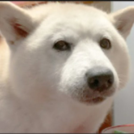 Tăng Đức Thuận