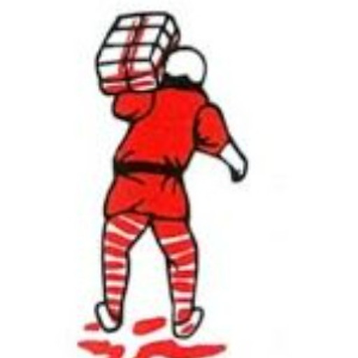 Nguyễn Hồng Lân