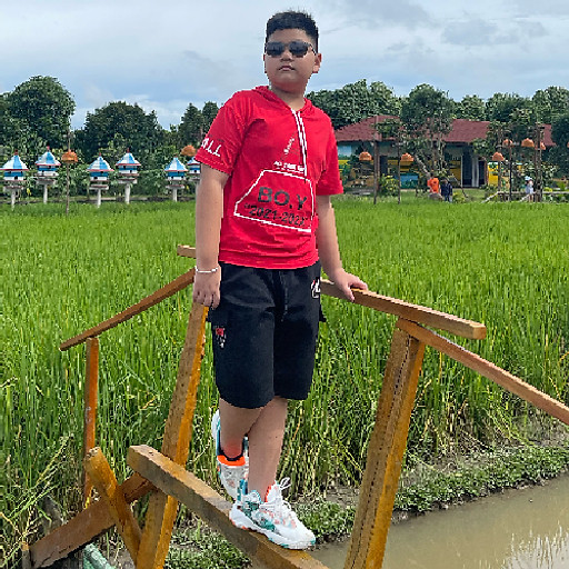 Phan Thị Tuyết Loan