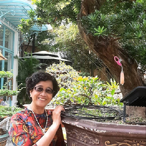 Nguyen Phung Thi Trung Hieu