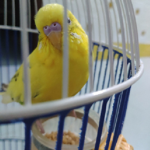 Ngô thị thanh Lê