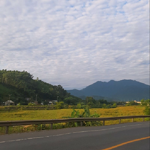 Nguyễn Ngọc Nguyên