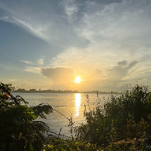 Nguyễn Viết Anh Dũng