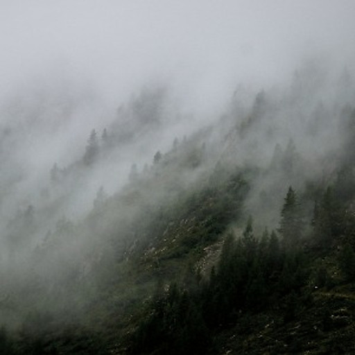 NGUYỄN TRẦN NHẬT KHÁNH