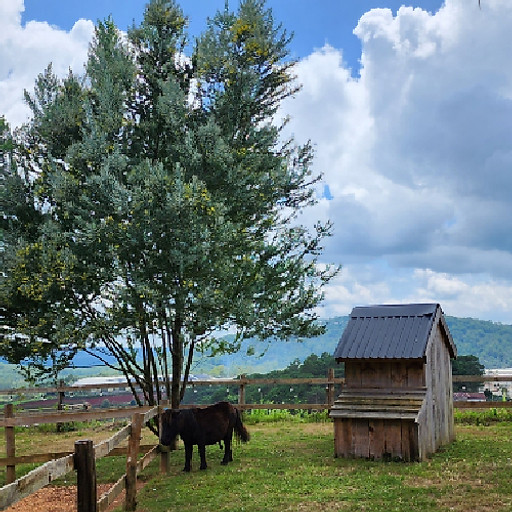 Phan Nguyễn Mai Trang