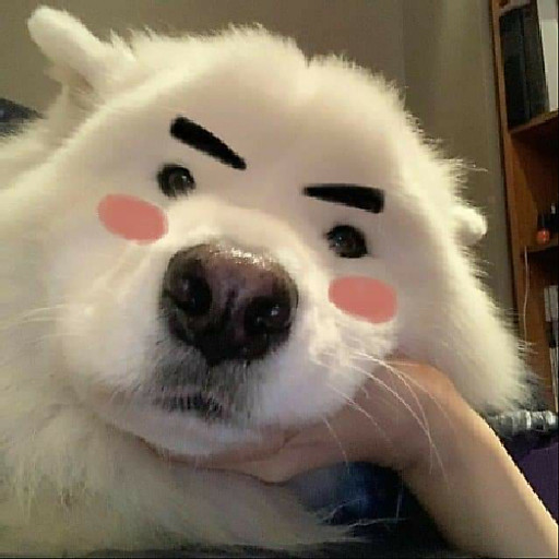 Nguyễn Hồng Duyên