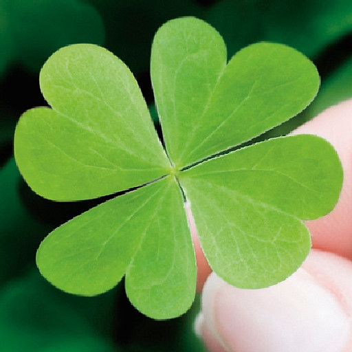 Nguyễn Thị Thanh Thuý